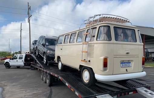Essential Role of Vehicle Transporters